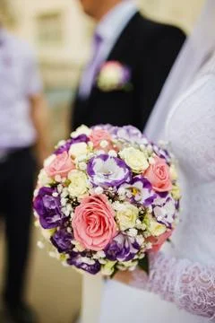 Flower beautiful composition Stock Photos