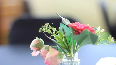 FLOWER beauty Stock Footage 242000019