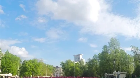 Flower bed in city park timelapse Vidéo 78017553