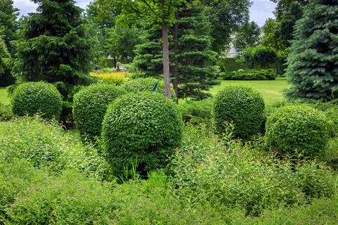 Flower bed with different deciduous bushes and pine trees in garden bed. Stock Photos