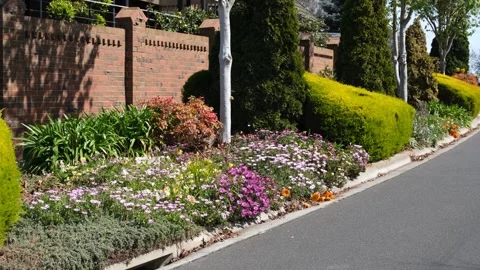 Flower bed filled with various plants sits on a landscaped natural strip Stock Footage 295329870