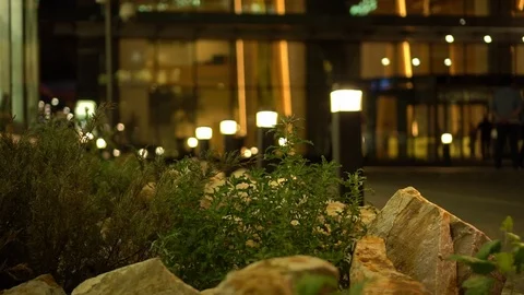 Flower Bed with flowers. Wind sways the branches. Facade of a modern building 스톡 동영상 121801415