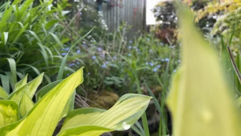 Flower bed Stock Footage 188044176