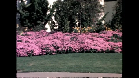 Flower Bed Stock Footage 276290412