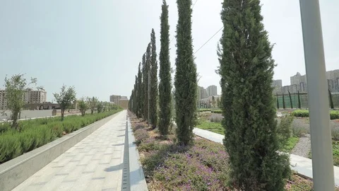 Flower bed in front of the mosque Tezepir. View of Baku through the landscape. Stock Footage 123530526