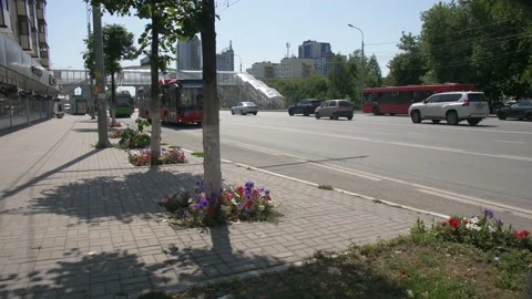 Flower Bed Near the Tree Stock Footage 134284983