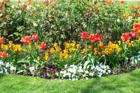 Flower bed in the park Stock Photos