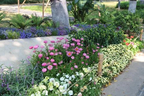 A flower bed in the park, with various types of flowers growing on both sid.. Stock Photos