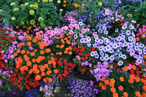 Flower bed Stock Photos