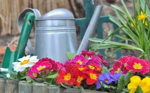 Flower bed Stock Photos