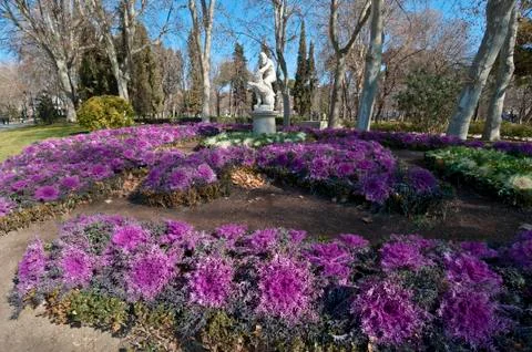 Flower bed Stock Photos