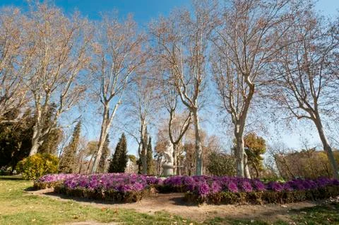 Flower bed Stock Photos