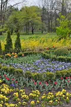 Flower bed Stock Photos