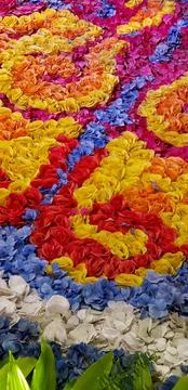 Flower bed Foto stock