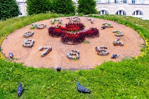 Flower bed in shape of clock. Walking pigeons Stock Photos