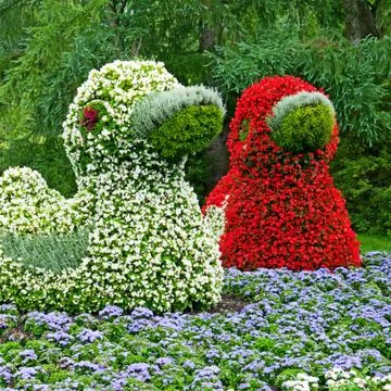 Flower bed in the shape of ducks 스톡 사진