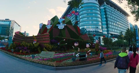 Flower bed for Winter Olypics Video stock 96946754