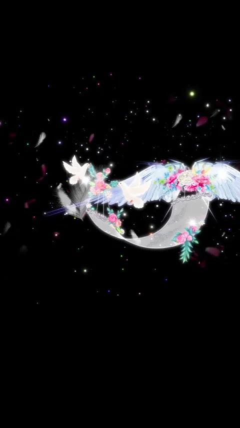 Flower beds 스톡 동영상 170218239