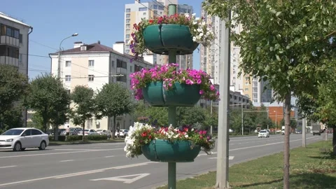 Flower Beds on Pillars Stock Footage 134284993