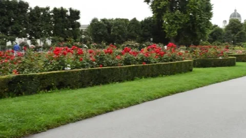 Flower beds.Cloudy rainy day Video stock 137114093