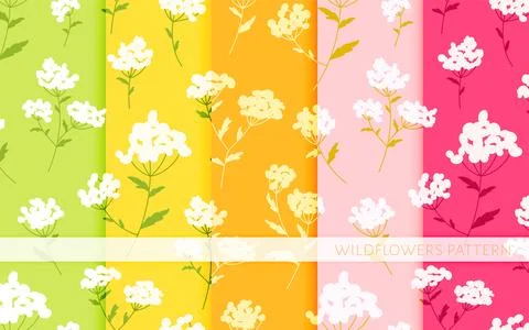 Flower bedstraw floral seamless pattern flat set Stock Illustration