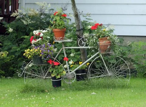 Flower bicycle Stock Photos