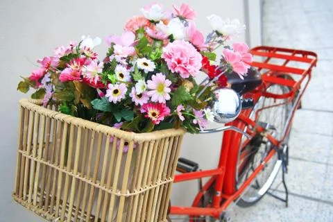 Flower on a bicycle Foto stock