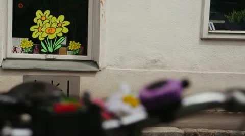 Flower Bike (refocus) 1 Stock Footage 22241936