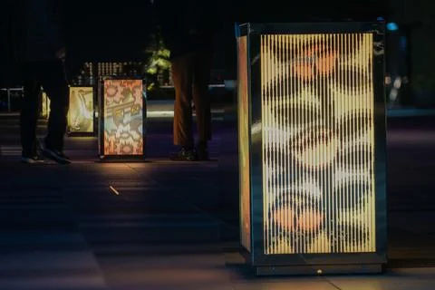 Flower bill pattern lighting Stock Photos