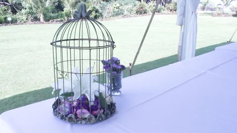 Flower In A Bird Cage Stock Footage 104822931