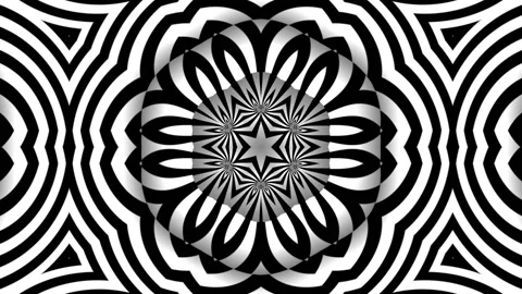 Flower in Black and White Stock Footage 150257966