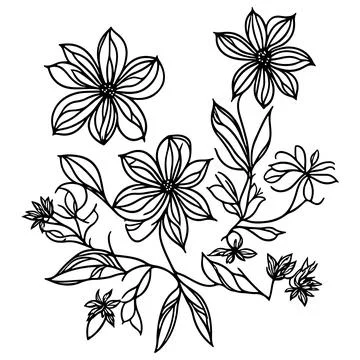 Flower Black Outline Vector On White Background Stock Illustration