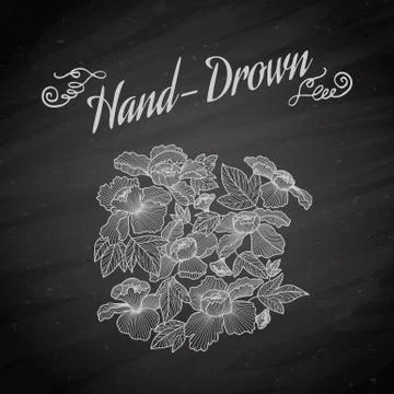 Flower on a blackboard Stock Illustration