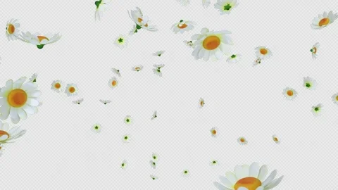 Flower Blast Element Vídeos de archivo 272962670