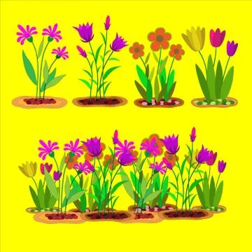 Flower bloom in the garden Stock Illustration