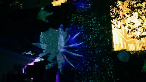 Flower bloom Interacts live with laser projector mapping Stock Footage 113650649