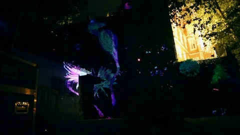 Flower bloom Interacts live with laser projector mapping Stock Footage 113655547