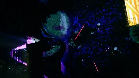 Flower bloom Interacts live with laser projector mapping Stock Footage 113657100