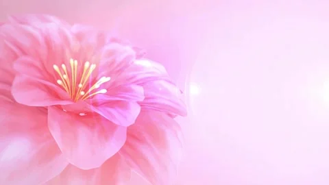 Flower Blooming, Flowers Bloom Stock Footage 272322778