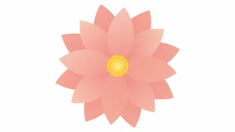 Flower blooms Stock Footage 149144599