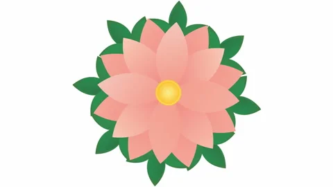 Flower blooms  green leaf Stock Footage 149236467