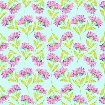 The flower blooms in spring Stock Illustration