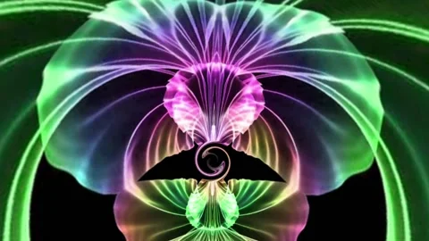 Flower Blossom Stock Footage 150494387