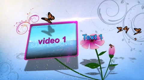 Flower blossom HD  After Effects	Stock