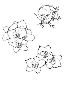 Flower blossom pattern Stock Illustration