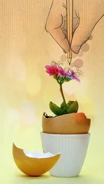 Flower blossomed inside an eggshell Stock Illustration