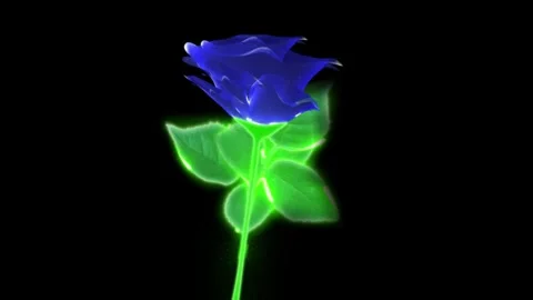Flower blue Stock Footage 262136413