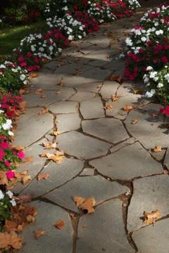 Flower boardered rock path Stock Photos