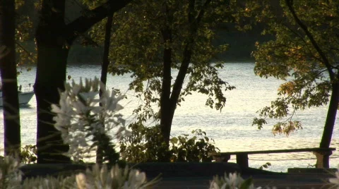 Flower Boat &amp; River. Stock Footage 527085