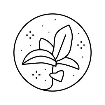 Flower boho line icon vector illustration Stock Illustration